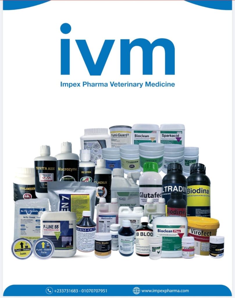 ivm - products